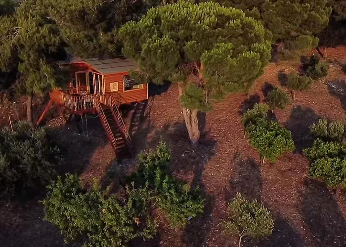 The Treehouse Project